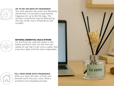 Nest Wall Diffuser Stick Set Spry Reed 6Mm Reeds Train Oil Scent Stone Wooden