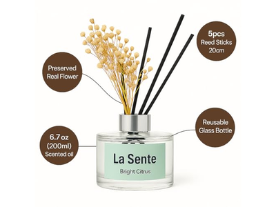 Nest Wall Diffuser Stick Set Spry Reed 6Mm Reeds Train Oil Scent Stone Wooden