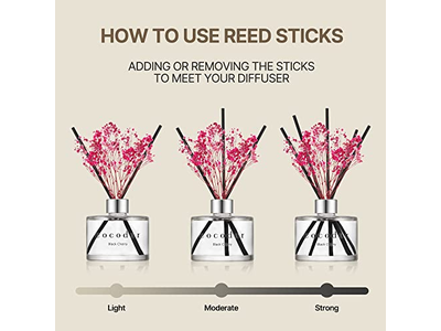 Reed Diffuser Natural Oils Manufacturer Dried Floral Gift Box Set Non Toxic