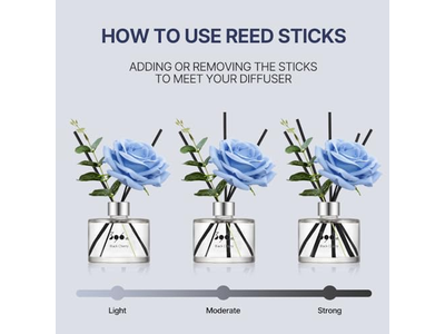 Reed Diffuser Stem Christmas Scent Champagne Decoration Ball Black Fig