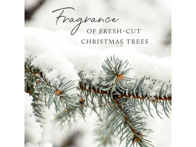 Vanilla Caramel Diffuser Nest Grapefruit Reed Base Wood Fragrance